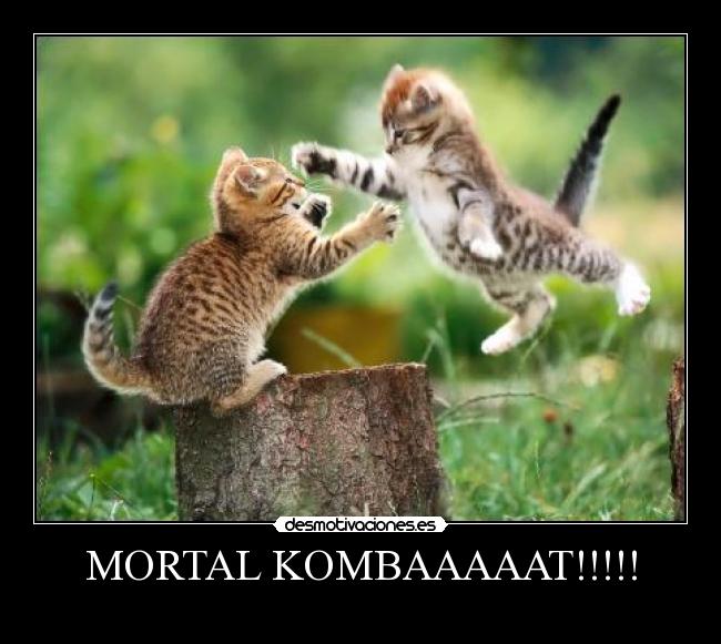 MORTAL KOMBAAAAAT!!!!! - 