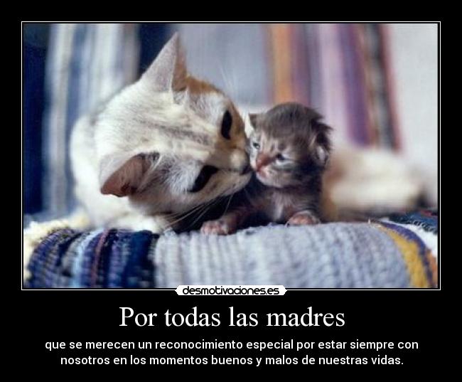Por todas las madres - que se merecen un reconocimiento especial por estar siempre con
nosotros en los momentos buenos y malos de nuestras vidas.
