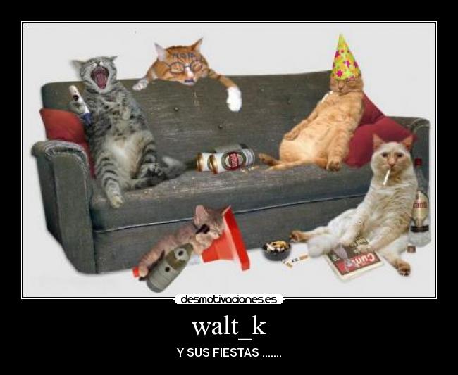 carteles gatosss desmotivaciones