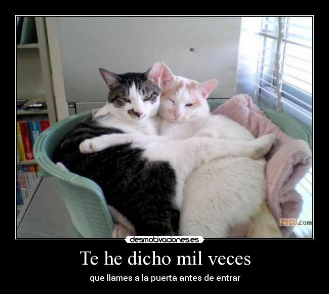 Te he dicho mil veces - 