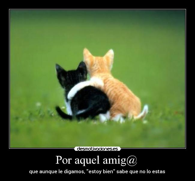 Por aquel amig@ - que aunque le digamos, estoy bien sabe que no lo estas