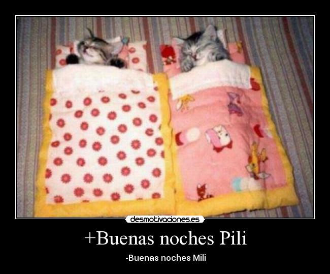 +Buenas noches Pili - -Buenas noches Mili