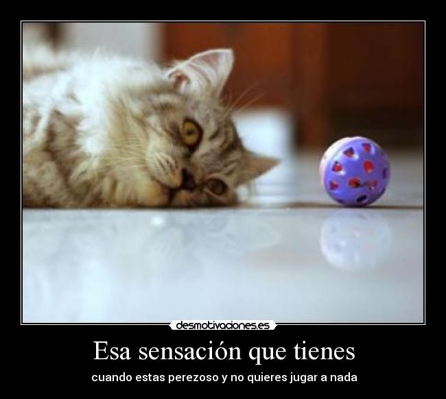 Esa sensación que tienes - cuando estas perezoso y no quieres jugar a nada