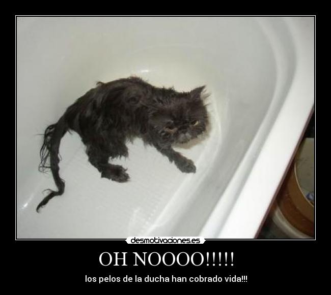 OH NOOOO!!!!! - los pelos de la ducha han cobrado vida!!!