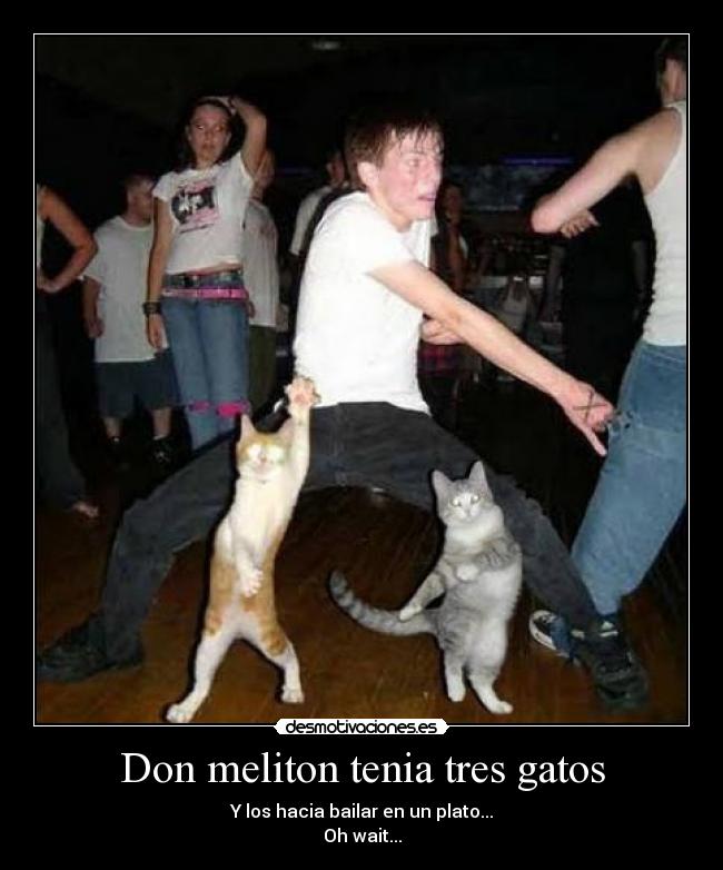 Don meliton tenia tres gatos - 