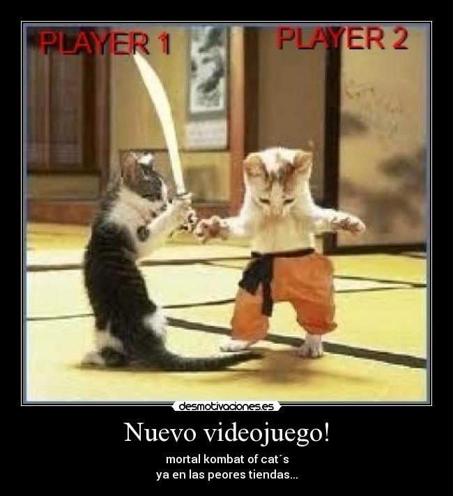 Nuevo videojuego! - mortal kombat of cat´s
ya en las peores tiendas...
