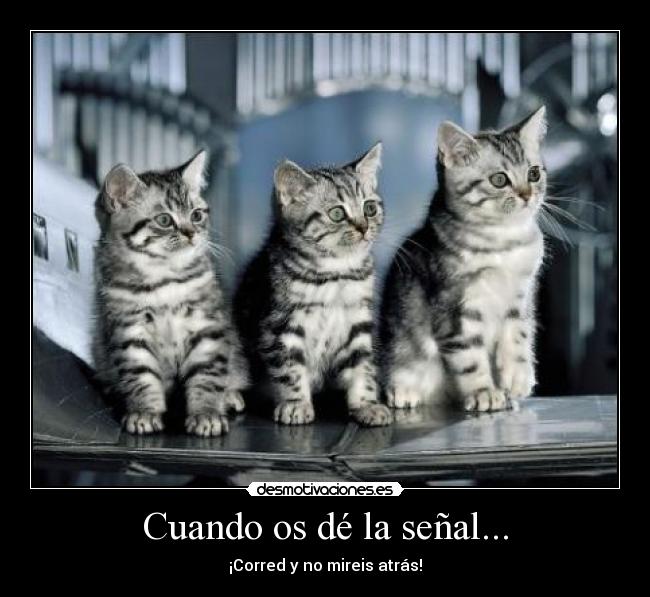 Cuando os dé la señal... -