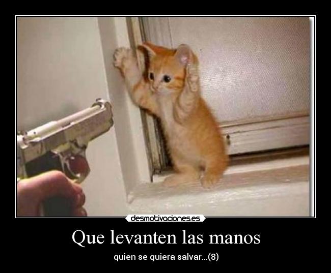 Que levanten las manos - quien se quiera salvar...(8)