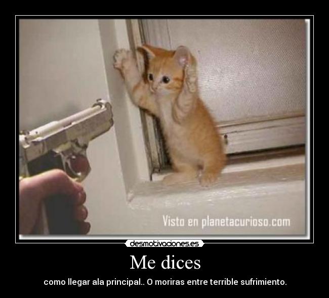 Me dices - como llegar ala principal.. O moriras entre terrible sufrimiento.