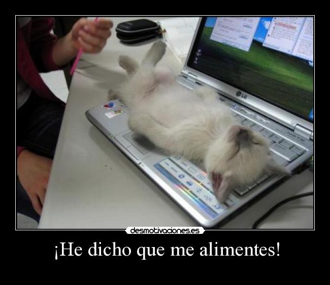 carteles alimentas quedare aqui podras entrar desmotivaciones cono desmotivaciones