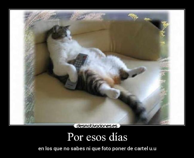 carteles funkypsw desmotivaciones