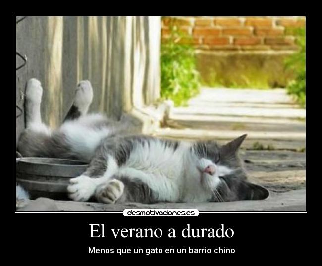 El verano a durado -