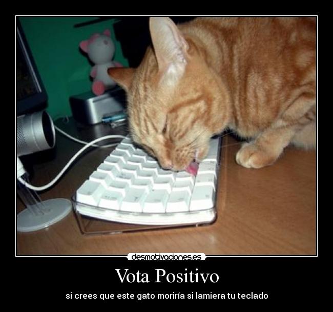 Vota Positivo - si crees que este gato moriría si lamiera tu teclado