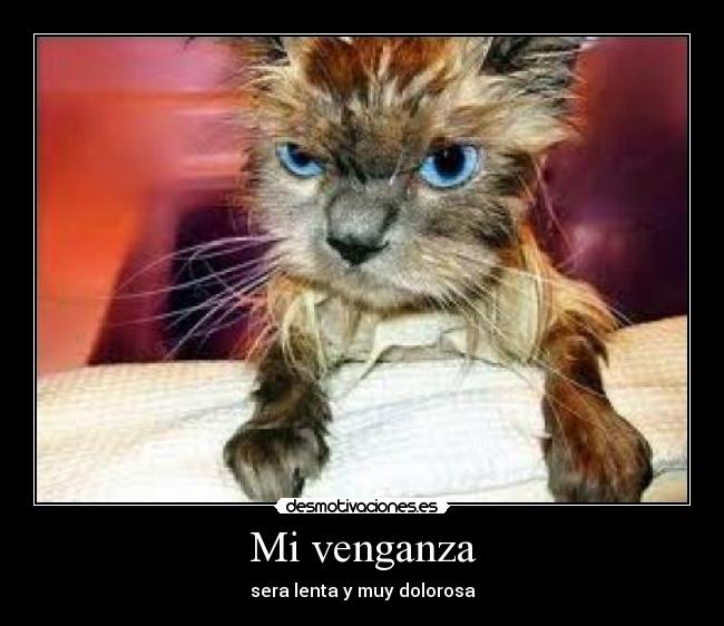 Mi venganza - sera lenta y muy dolorosa