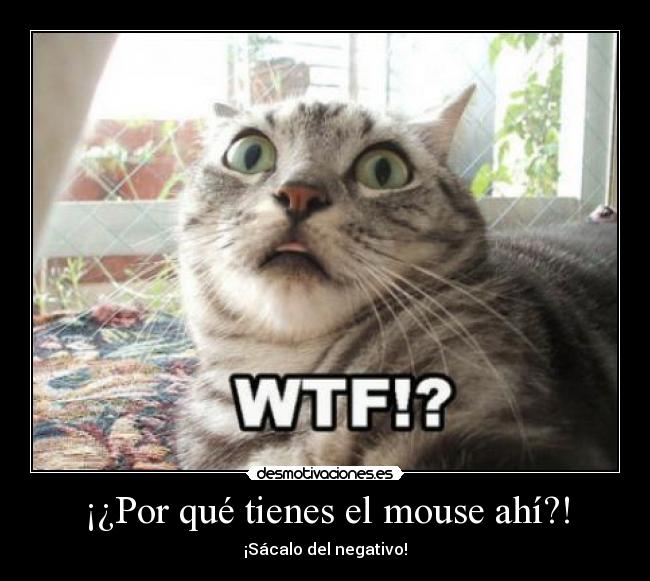 ¡¿Por qué tienes el mouse ahí?! - ¡Sácalo del negativo!