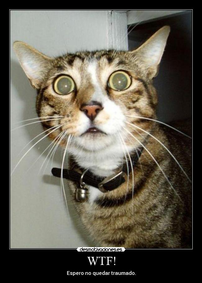 WTF! - Espero no quedar traumado.
