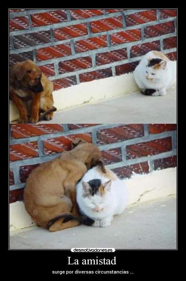 La amistad -