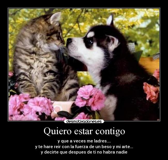 Quiero estar contigo - y que a veces me ladres....
y te hare reir con la fuerza de un beso y mi arte...
y decirte que despues de ti no habra nadie