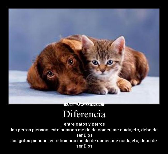 Diferencia - 