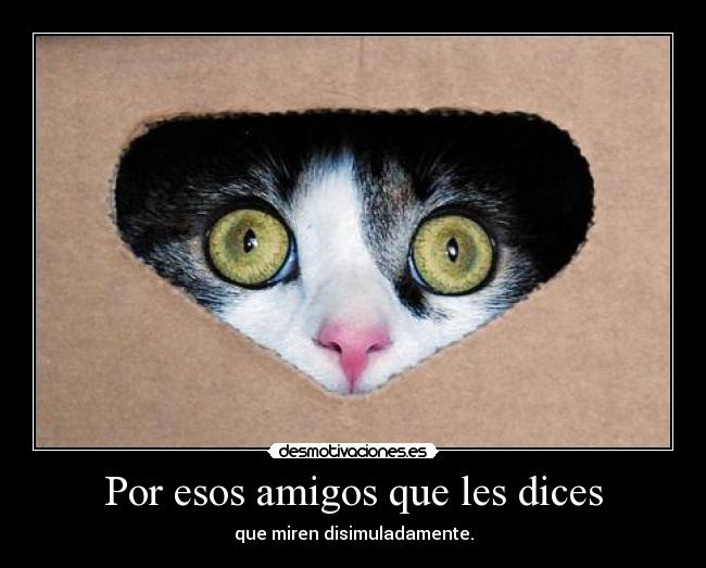 Por esos amigos que les dices - que miren disimuladamente.