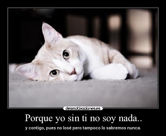Porque yo sin ti no soy nada.. Desmotivaciones Porque yo sin ti no soy nada.. Desmotivaciones