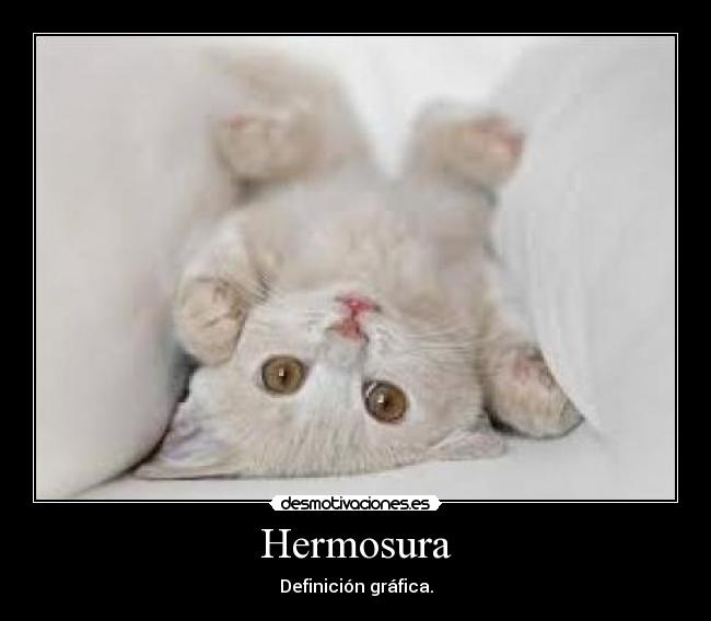 Hermosura - Definición gráfica.