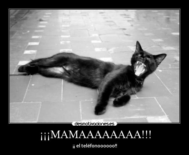 ¡¡¡MAMAAAAAAAA!!! -