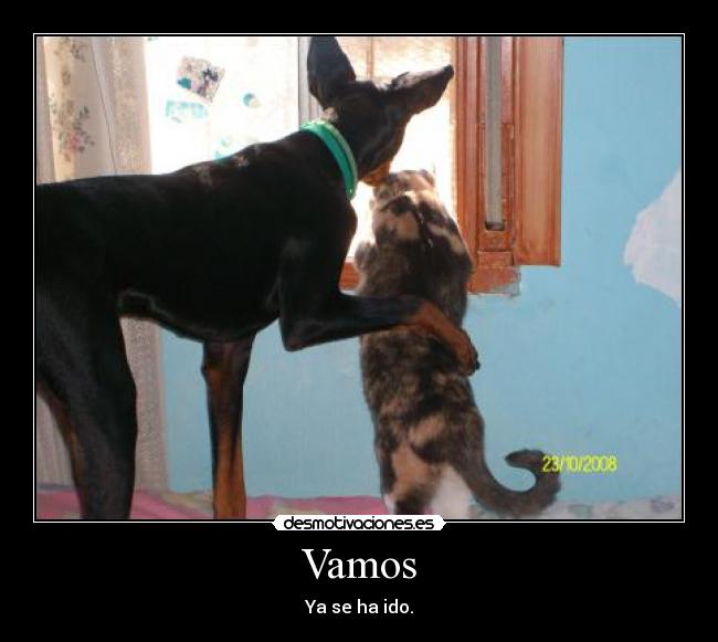 Vamos - Ya se ha ido.