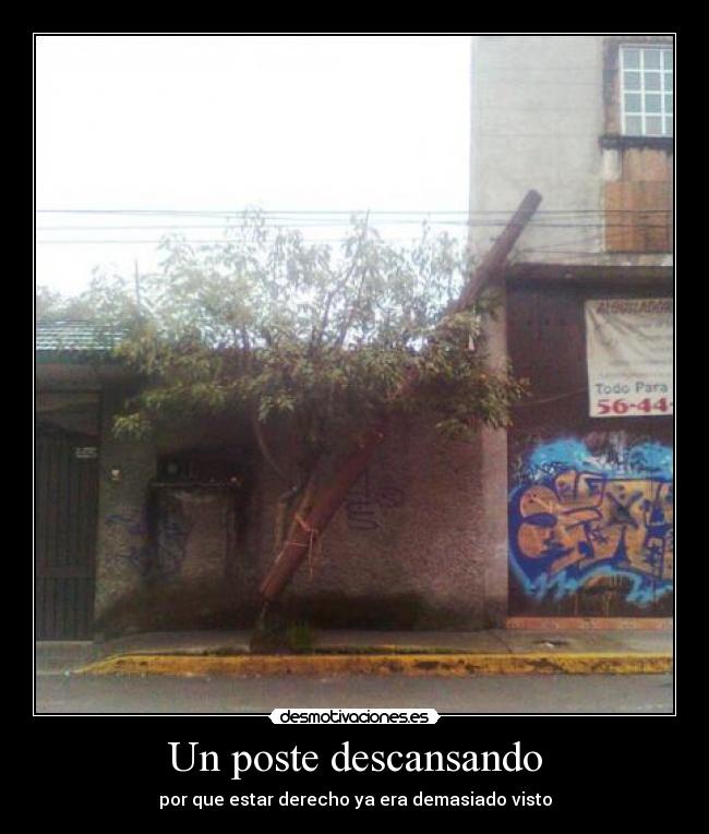 Un poste descansando - 