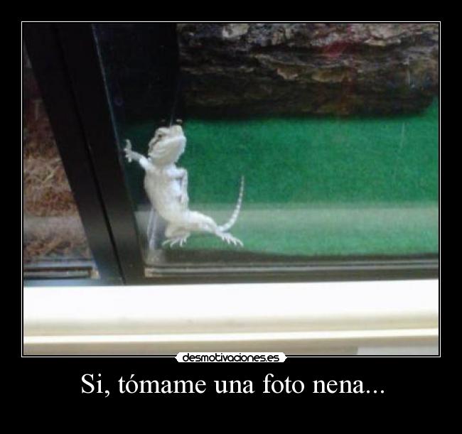 Si, tómame una foto nena... -