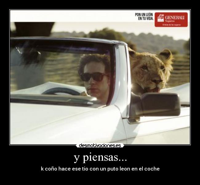 y piensas... - k coño hace ese tio con un puto leon en el coche