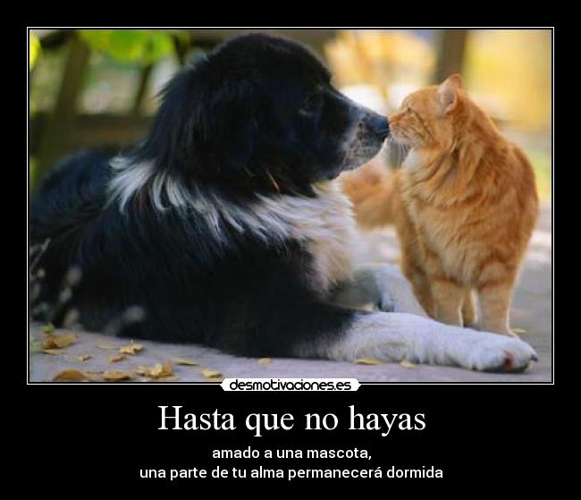 Hasta que no hayas -