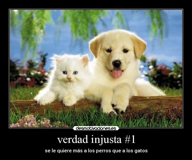 carteles justo desmotivaciones