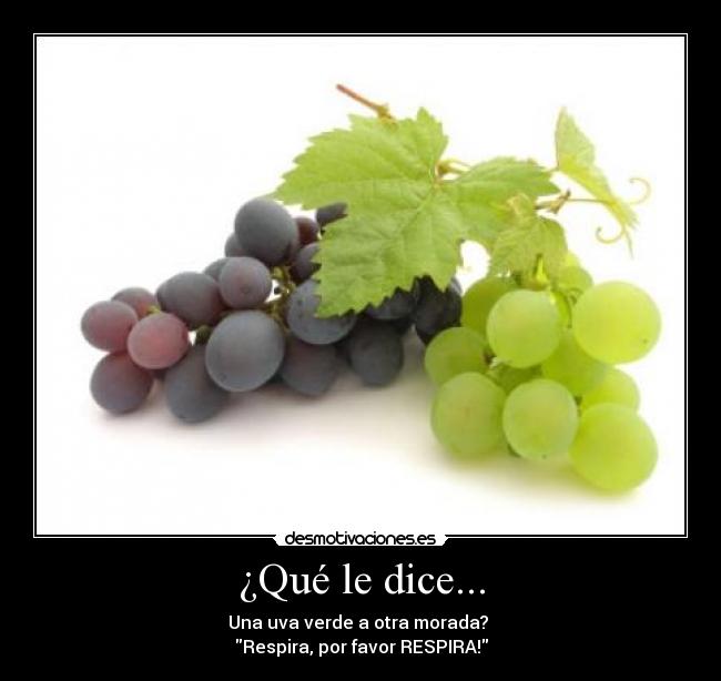 ¿Qué le dice... - Una uva verde a otra morada?
Respira, por favor RESPIRA!