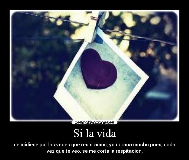 Si la vida - 