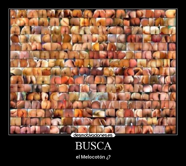 BUSCA - el Melocotón ¿?