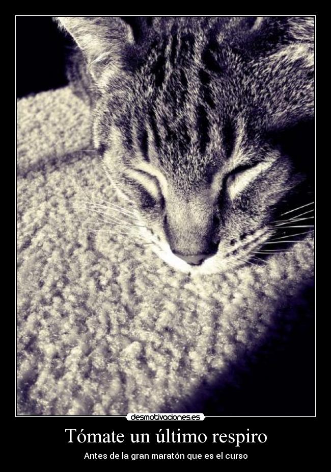 Tómate un último respiro -