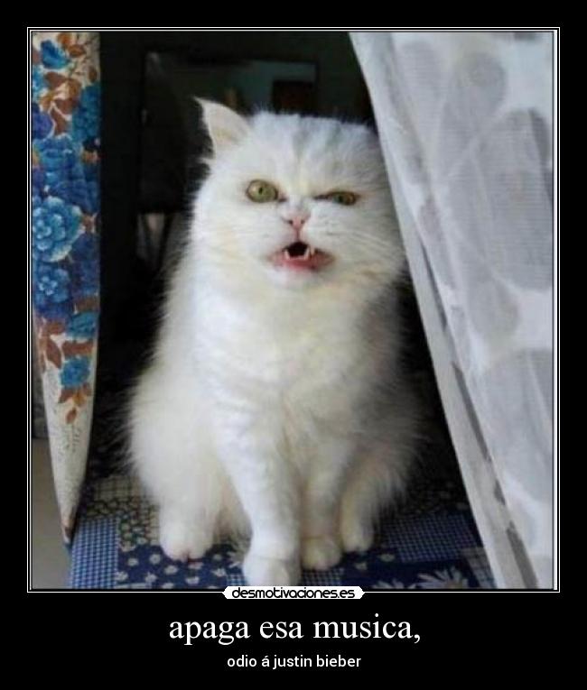 apaga esa musica, - 