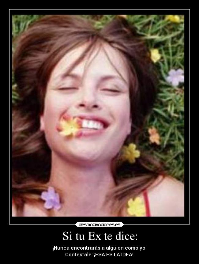 Si tu Ex te dice: -  ¡Nunca encontrarás a alguien como yo! 
Contéstale: ¡ESA ES LA IDEA!.