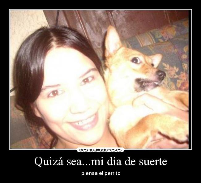 carteles funcionarios chiste desmotivaciones