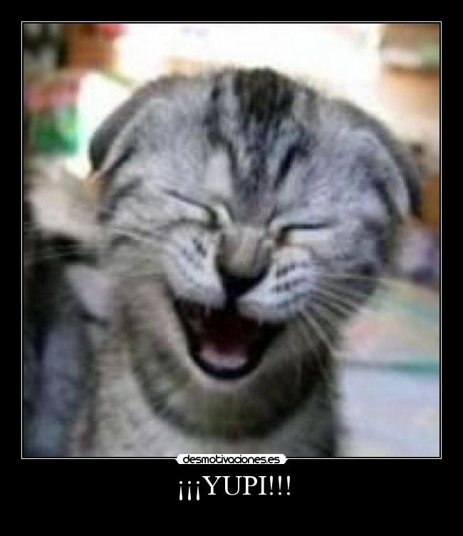 ¡¡¡YUPI!!! -