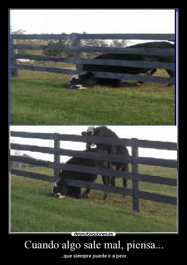 Cuando algo sale mal, piensa... - ...que siempre puede ir a peor.