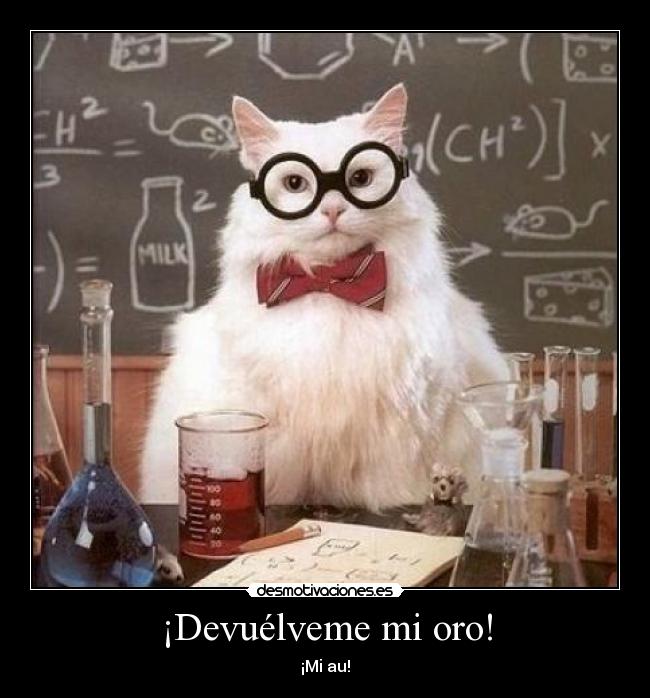 ¡Devuélveme mi oro! - 