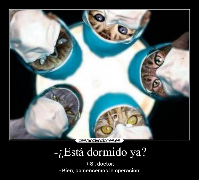 -¿Está dormido ya? - 