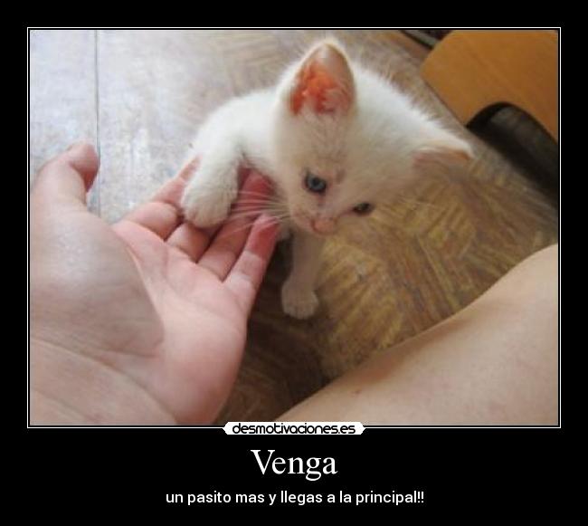 Venga - 