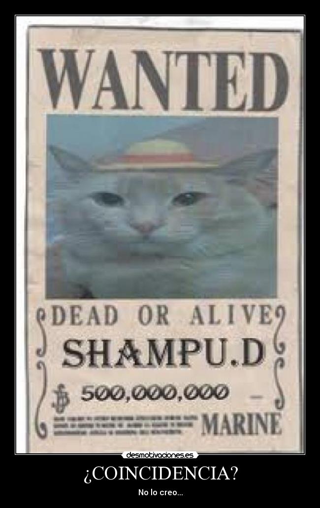 ¿COINCIDENCIA? - No lo creo...