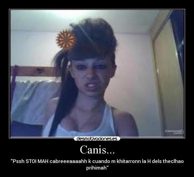 Canis... - 