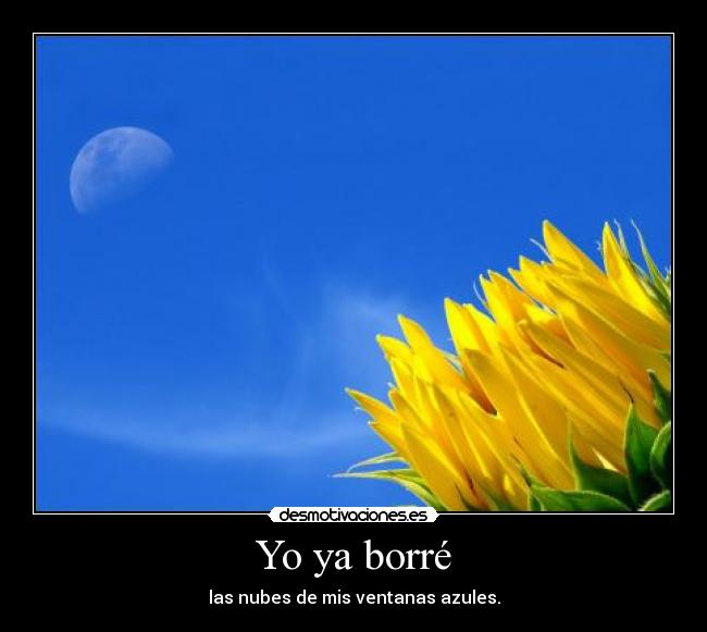 Yo ya borré - las nubes de mis ventanas azules.