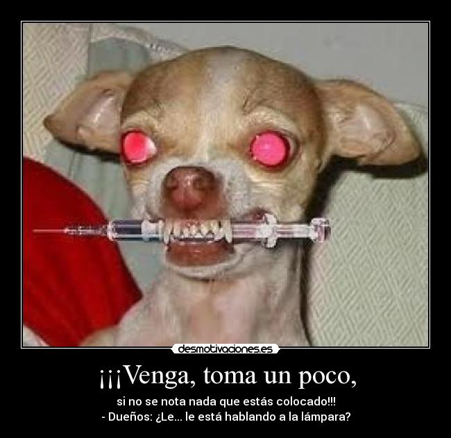 carteles este perro hacer competencia ida desmotivaciones