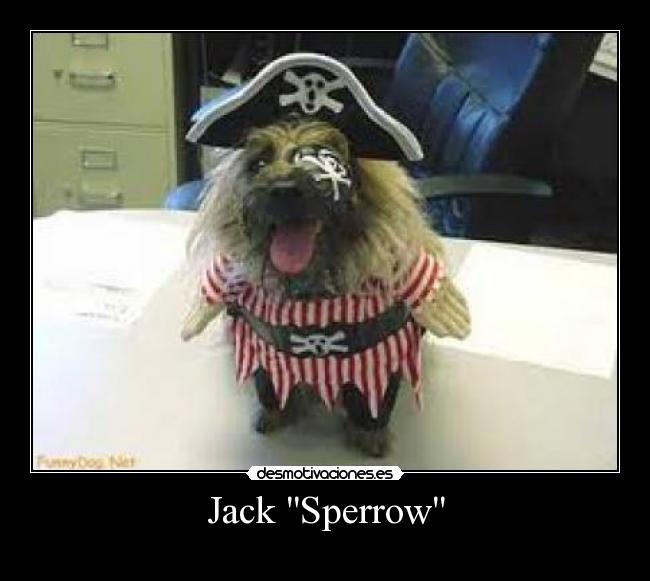 Jack Sperrow -  